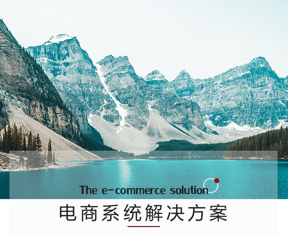 B2C標(biāo)準(zhǔn)商城開發(fā)